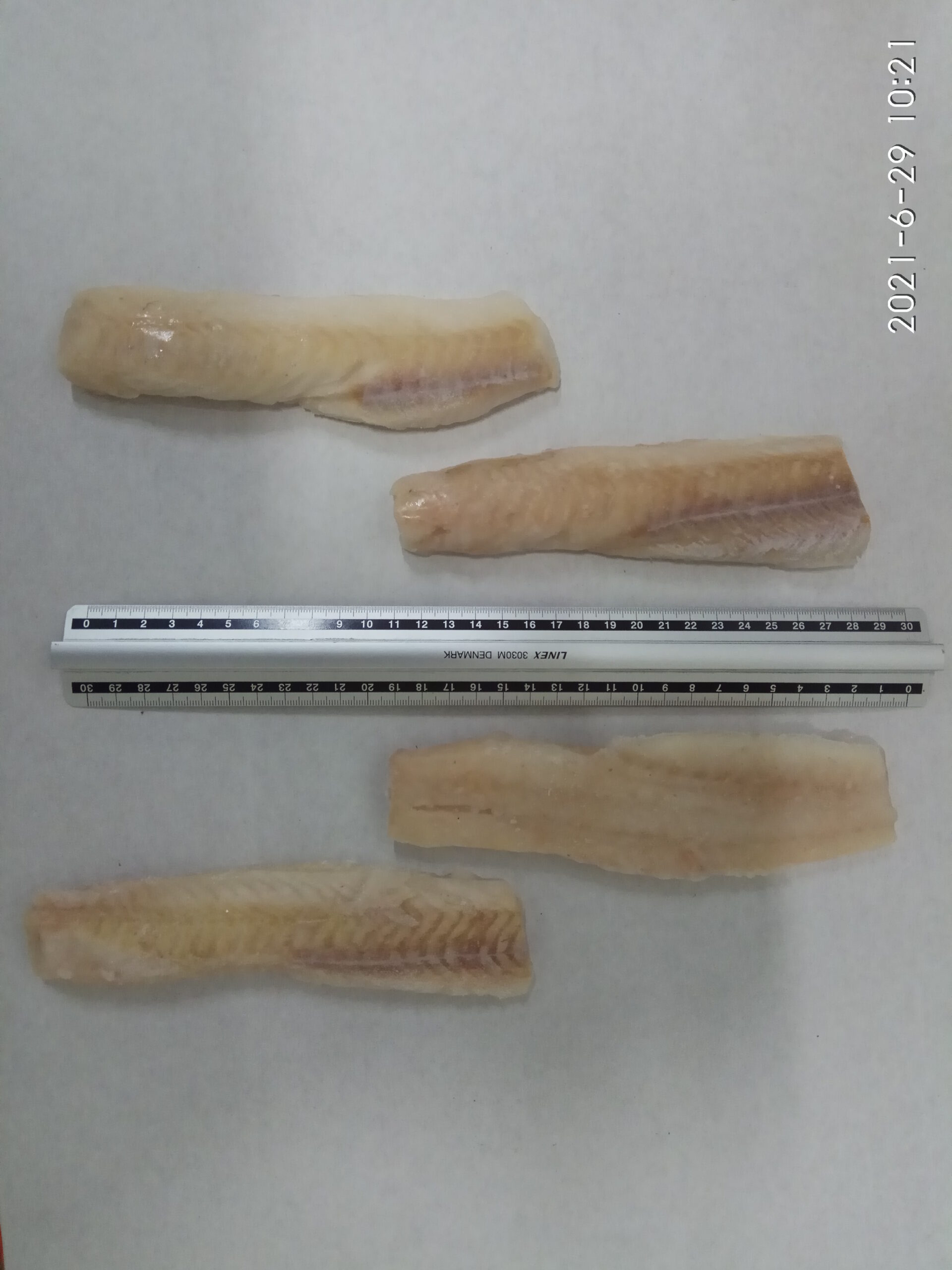 Pollock fillet skinless, loins