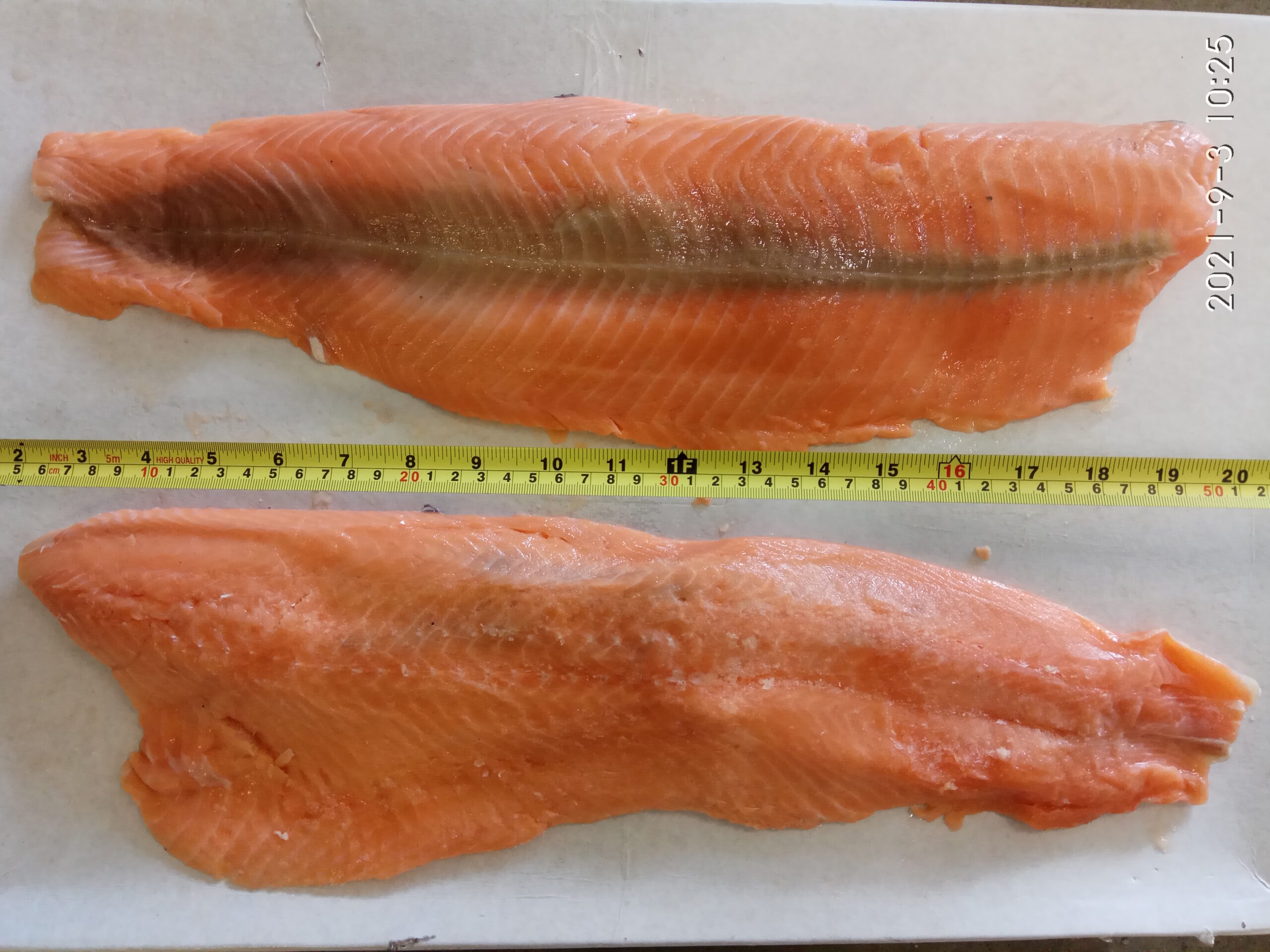 Salmon fillet skinless