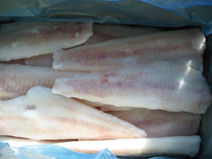 Hake fillets (skinless, skin-on)