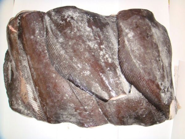 Greenland Halibut HGT