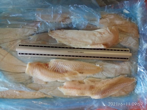 Hake fillet skinless, no glaze