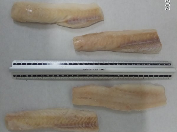 Pollock fillet skinless, loins