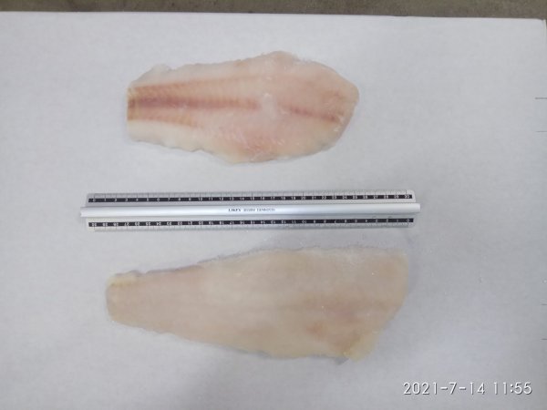 Hake fillet skinless