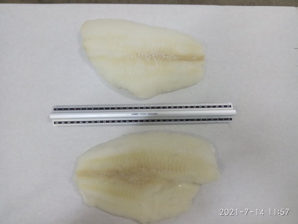 Flounder fillet skinless