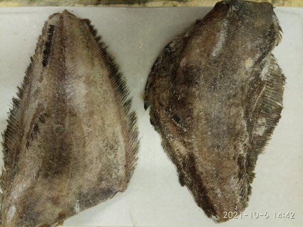 Greenland Halibut HGT