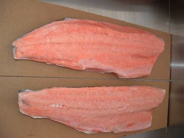Salmon fillets