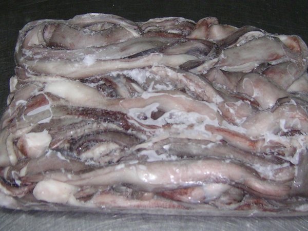 Squid tentacles