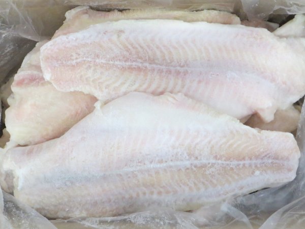 Pangasius fillets (white, pink)