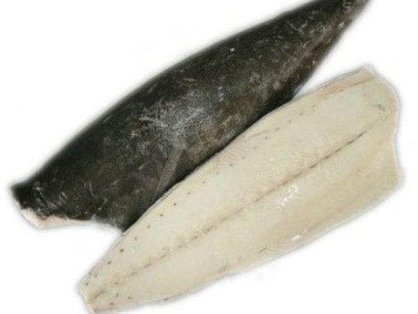 Oilfish fillets