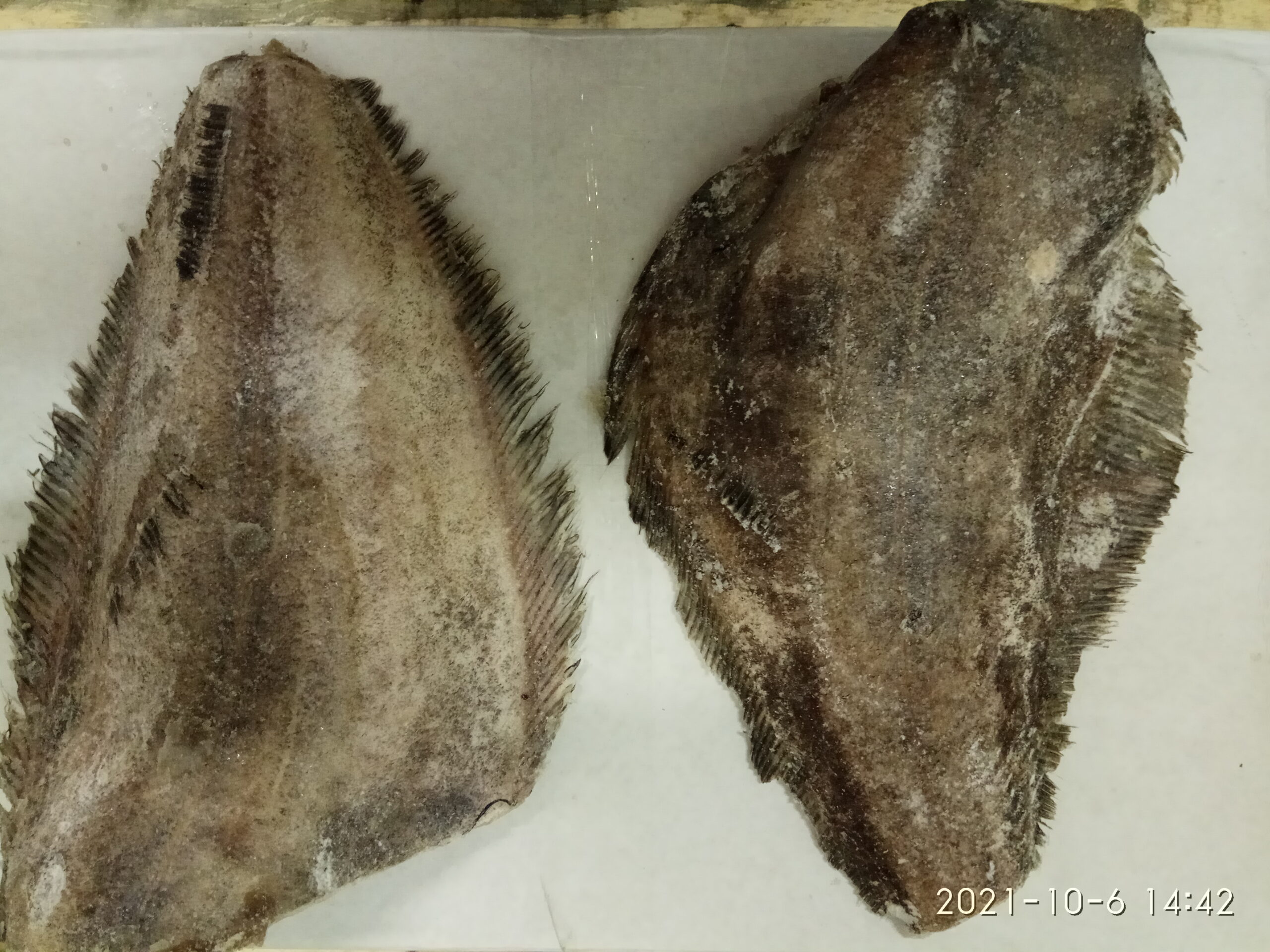 Палтус, тушка