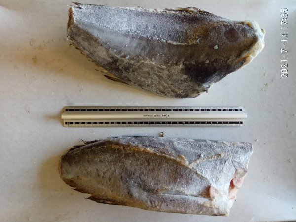 Саворин, тушка